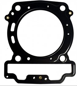 Прокладка  головки цилиндра(420630195) - фото 11772