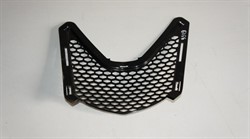 Решетка (517304843) - фото 14045