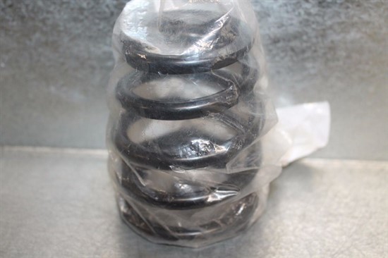 Пружина задней подвески БУ (706000476) - фото 16115