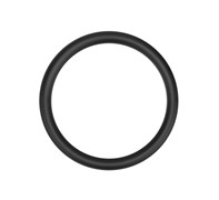 Кольцо уплотнительное крышки масляного фильтра(420650500)