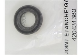 Сальник RAVE(420431380)