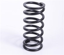 Пружина (417005700)