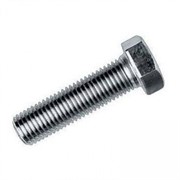 Винт М10Х75(250000216)