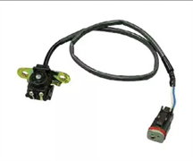 Датчик оборотов коленчатого вала (420665163)