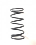 Пружина (420238615)