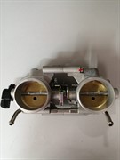 Дроссель в сборе(420893802)