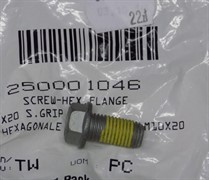 Болт М10*20(250001046)