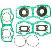 Комплект прокладок и сальников 3 (WINDEROSA) (287464)