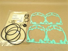 Комплект прокладок (420889923)