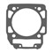 Прокладка под цилиндр(420630210) - фото 11803