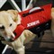 Жилет спасательный JOBE Pet Vest - фото 6437